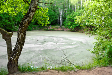 Spring landscape with forest pond covered with tina