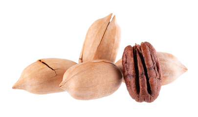 Pecan nuts isolated on white background. Shelled and unshelled pecan. Clipping path.
