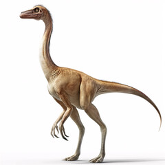 Dinosaur Gallimimus