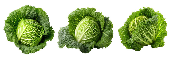 Set of Savoy cabbages isolated on transparent or white background - obrazy, fototapety, plakaty