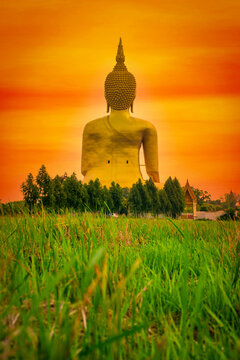 Big Statue buddha image at sunset in southen of Thailand