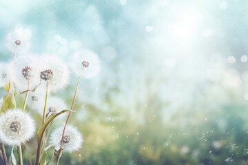 A captivating close-up shot showcasing a cluster of vibrant dandelions, fully bloomed, as they stand proud on a lush green grass backdrop, spring background with white dandelions, AI Generated