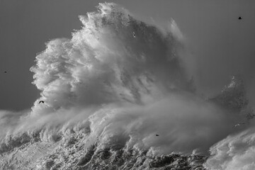 Big stormy breaking wave