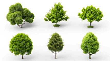 Environmental outside eco trees shapes collections isolated on transparent backgrounds 3d render png