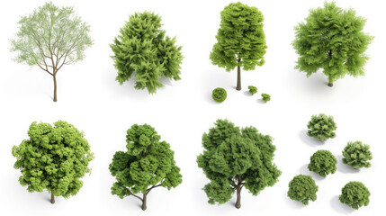 Obraz premium Environmental outside eco trees shapes collections isolated on transparent backgrounds 3d render png