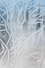 Vertical close-up photo of a frozen window.