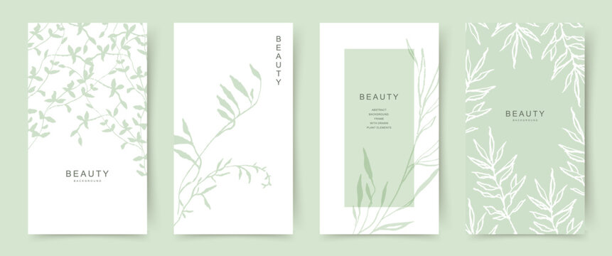 Universal neutral botanical backgrounds with green floral elements, delicate branches and leaves. Flower frame. Vector illustration for card, banner, cover, wedding invitation, social media, packaging