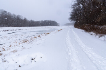 Obraz premium Frozen river park, cold temperatures, extreme weather theme