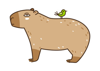 Cute сartoon capybara with bird isolated on white - funny animal for Your design