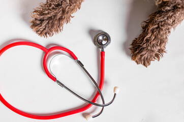 Puppy dog paws and stethoscope isolated on white background. Pet and animal health care concept.
