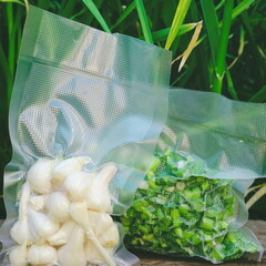 Plastic Sealing Machine. Vacuum packing of fresh greenery. Long-term storage of products