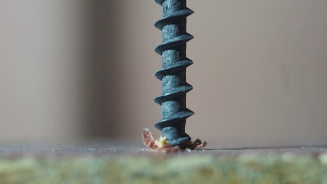 A metal screw is screwed into a surface, close-up