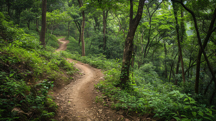 Fototapeta na wymiar An exhilarating mountain biking trail winding through a dense forest.