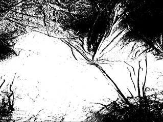 Rustic grunge texture with grain and stains. Abstract noise background. PNG graphic illustration with transparent background.