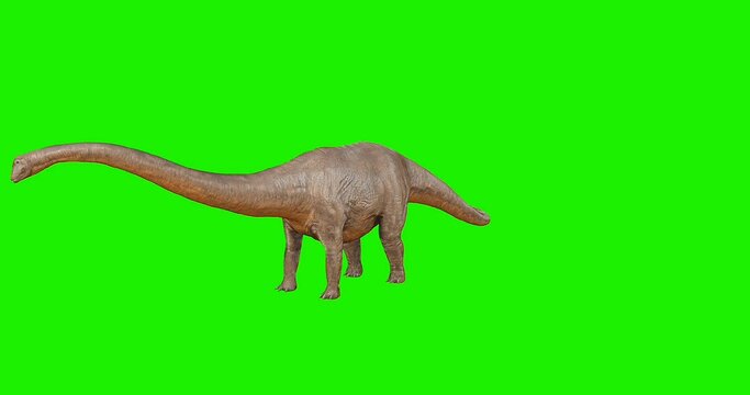 Brachiosaurus HD Green screen video