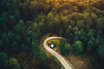 droga las widok z góry z drona drzewa korony