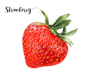 Watercolor illustration of strawberry close up. A hand-drawn painting.