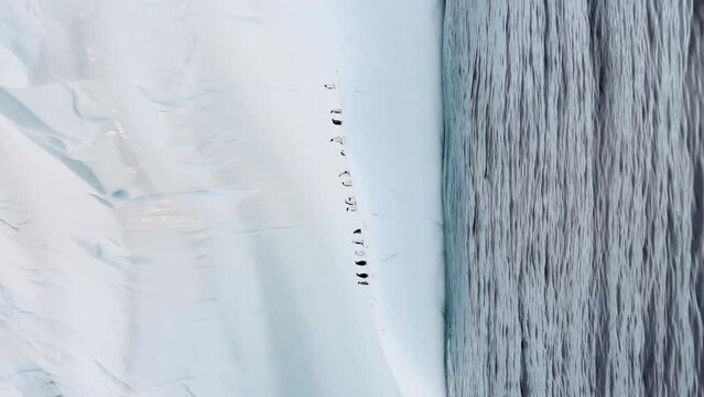 A huge high breakaway glacier drifts in the southern ocean off the coast of Antarctica at sunset, the Antarctic Peninsula, the Southern Arctic Circle, azure water, cloudy weather