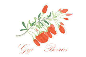 Naklejka premium A vintage bouquet with hand drawn flowers