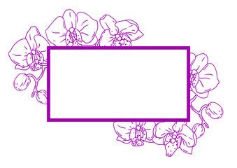 Frame with orchid flowers. Beautiful decorative plants.