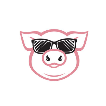 illustration of pig with glasses isolated on white background