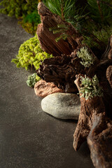 Obraz premium Northern natural composition with lichen, moss, pine branches and driftwood.
