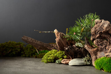 Northern natural composition with lichen, moss, pine branches and driftwood.