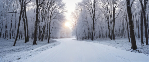 Fototapeta na wymiar Scenic Snowy Forest Pathway