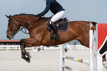 Un jinete salta con su caballo un obstáculo en una competición hípica de salto. - Powered by Adobe