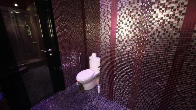 Toilet, shower in bathroom with tiling in modern apartment