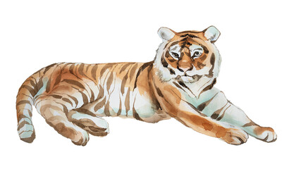 Watercolor tiger illustration. hand painted wild animal design. Tiger portrait painting.