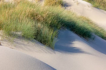 Selbstklebende Fototapete Nordsee, Niederlande White sand beach at north sea coast, European marram grass (beach grass) on the dune, Ammophila arenaria is a species of grass in the family Poaceae, Dutch Wadden Sea island, Terschelling, Netherlands