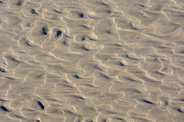 Wet brown sand on the beach in summer, Beautiful structure texture on the sand with lines or ripples, Nature pattern with free copy space, Can be used as background, Display or montage your products.
