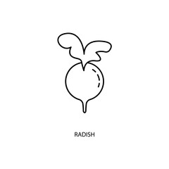 radish concept line icon. Simple element illustration. radish concept outline symbol design.