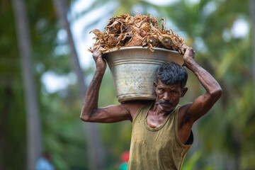 Close-up captures the Indian farmer's hard work.