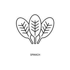 spinach concept line icon. Simple element illustration. spinach concept outline symbol design.