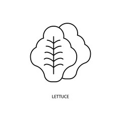 lettuce concept line icon. Simple element illustration. lettuce concept outline symbol design.