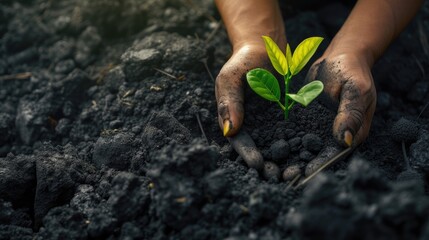 a miner's hands delicately planting a green plant amidst a coal heap, a commitment to environmental stewardship and the transition to carbon-free energy, reflecting the energy industry's climate goals