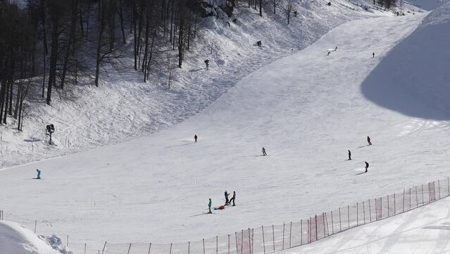 Men and women go down on wide slope near forest in sunny day, 4K.