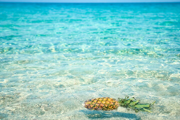 Naklejka na ściany i meble A pineapple in the water by the sea in nature weekend travel