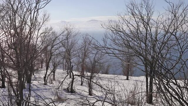 Branch of trees on snow shore of lake Sevan and mountains afar in Armenia