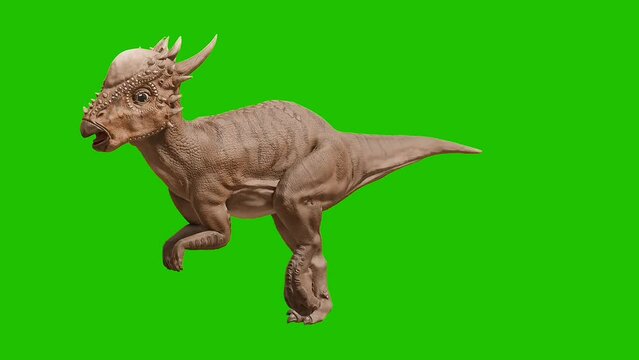 Dinosaur raptor dino Green screen video