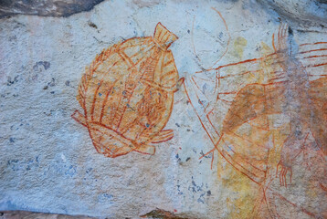 Close up view of 30,000 year old Aboriginal rock paintings of fish catch at Ubirr rock art site in...