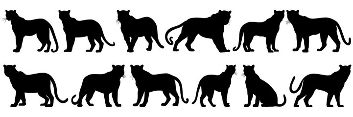 Panther silhouettes set, large pack of vector silhouette design, isolated white background