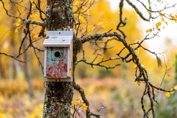 Casas para aves en bosque noruego en otoño
