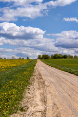 unpaved road in rural areas in spring, unpaved road