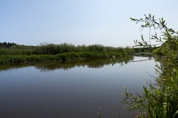 a wide river in eastern Europe, the Neman
