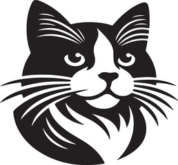 black and white cat