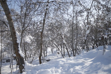 winter views from the city