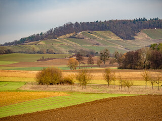 Agrarlandschaft im Winter